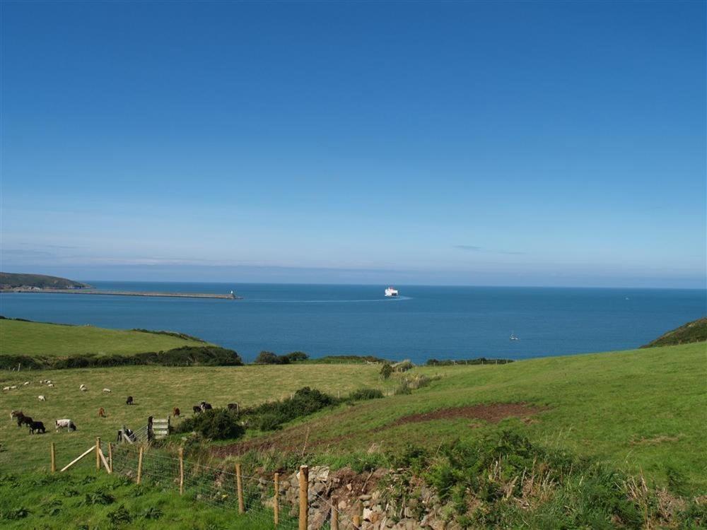 Cable Cottage Fishguard Exterior foto